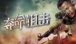 致命阻击在线观看,在线观看，揭秘生死较量背后的惊心动魄