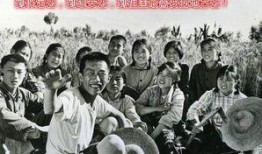 知青奇闻爆料事件视频完整版