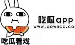 快手网红吃瓜免费下载安装,免费下载安装，轻松畅享美食盛宴