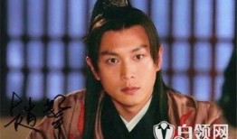 公磊最新电视剧爆料,悬疑剧情引期待，角色命运再掀波澜